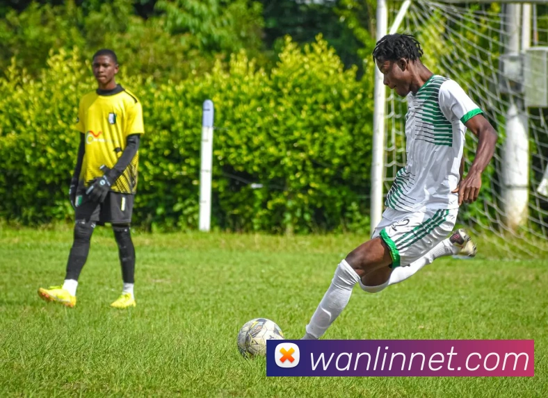 开云app平台生态图